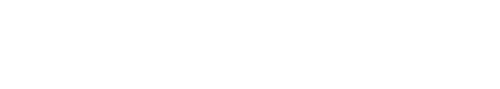 APEX logo - secondary logo - white - RBG - 500px